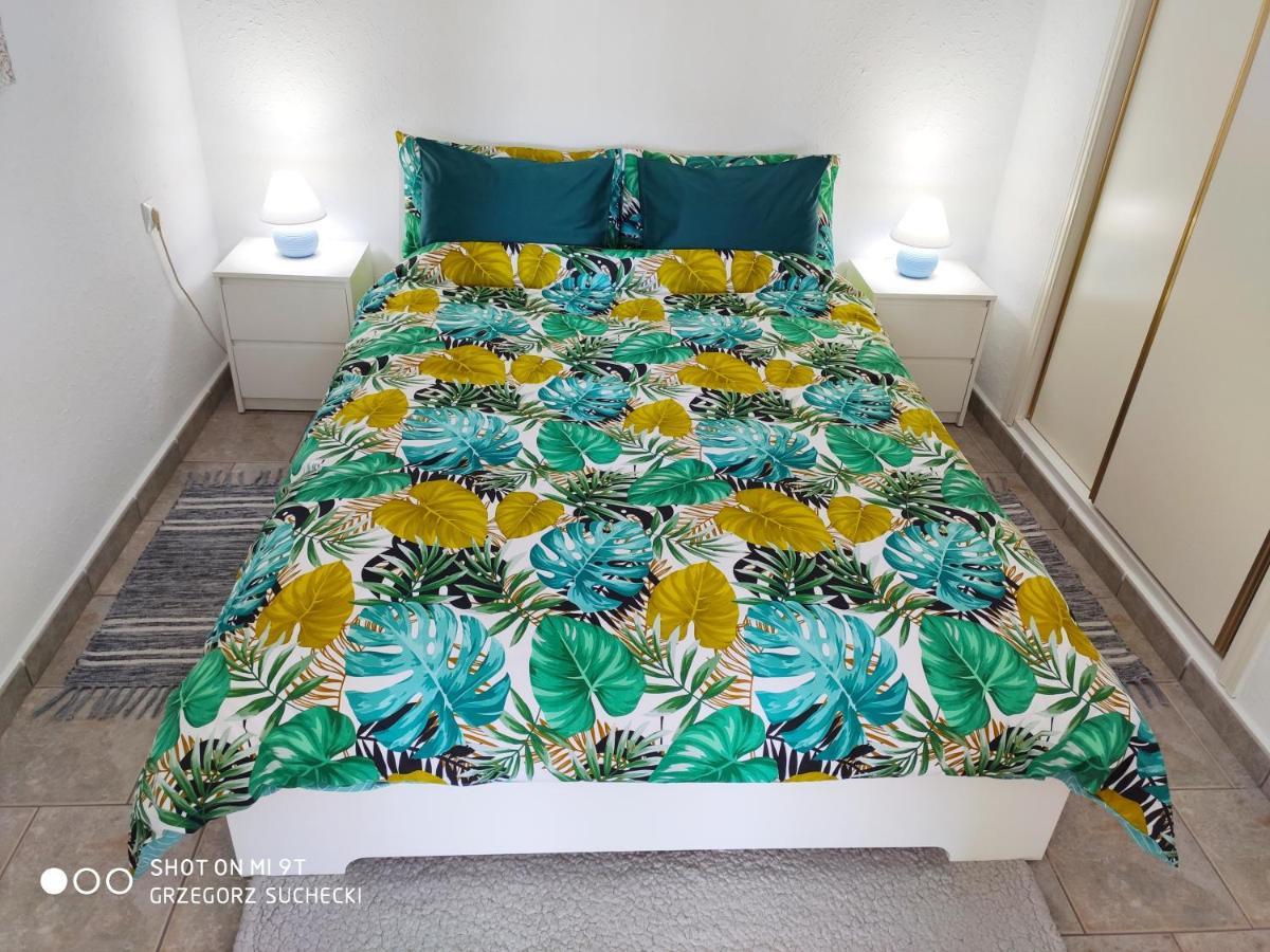 Apartmán Los Europeos La Mata  Exteriér fotografie
