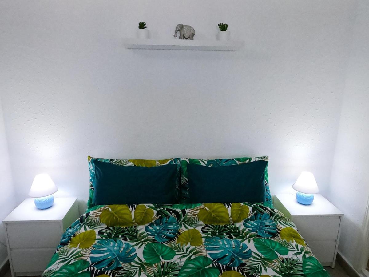 Apartmán Los Europeos La Mata  Exteriér fotografie